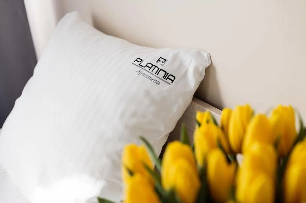 Apartamenty Platinia - Komfortowe Noclegi Krakow Stare Miasto 3*,  Poland