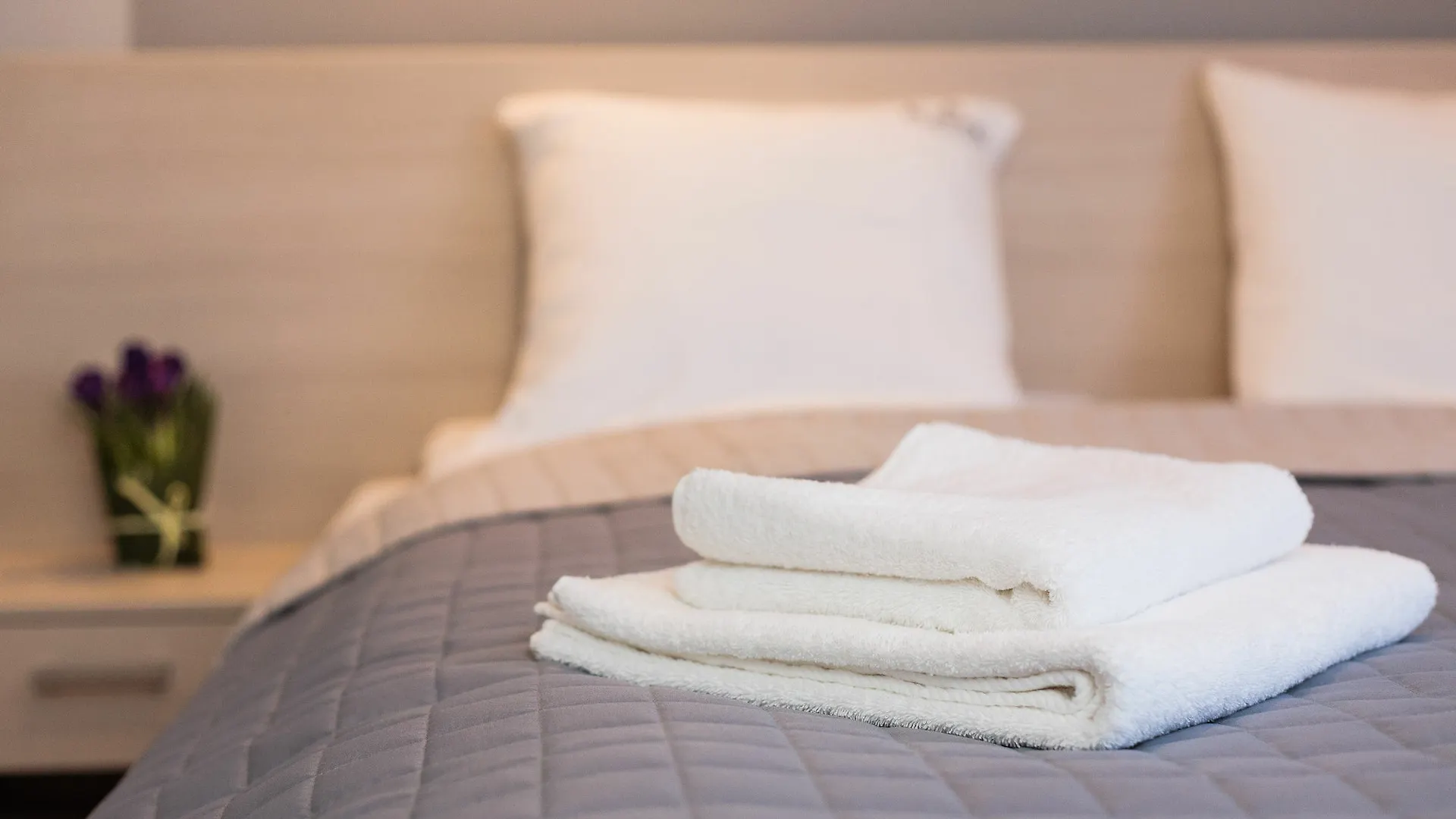 Apartamenty Platinia - Komfortowe Noclegi Krakow Stare Miasto